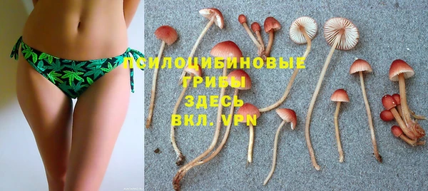 а пвп мука Магас