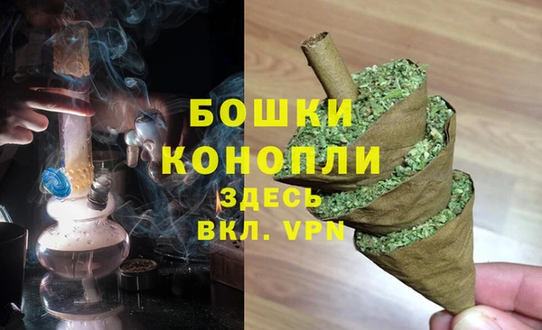 сатива Майский