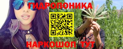 гашик Бузулук