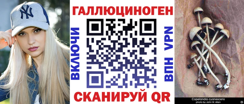 Псилоцибиновые грибы MAGIC MUSHROOMS hydra как зайти Шали купить сайты